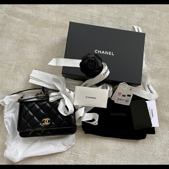 Chanel goatskin WOC (cruise 2021/2022 wallet on chain) - Picture 14 of 16